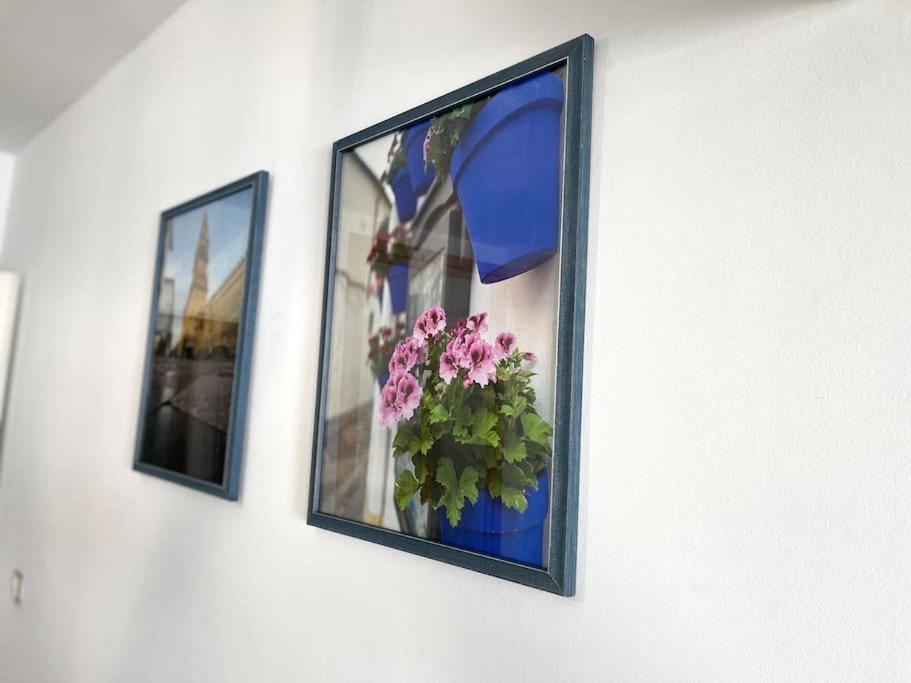 Apartamento Centrico Urbano Con Terraza Kordoba Zewnętrze zdjęcie